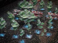 Firestorm small  (5 of 5)  Whole Relthoza fleet